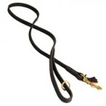 Handcrafted Leather Swiss Mountain Dog Leash for Walking and Tracking