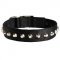 Exclusive Nylon Swiss Mountain Dog Collar with Awesome Nickel Cones