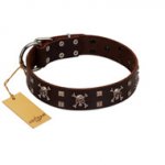 "Menacing Allure" FDT Artisan Brown Leather Swiss Mountain Dog Collar Embellished with Silvery Crossbones and Square Studs