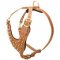 Brass Spiked Leather Swiss Mountain Dog Harness for Fashion Walking