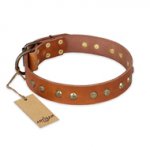 "Spring Flavor" FDT Artisan Adorned Leather Swiss Mountain Dog Collar with Old Bronze-Plated Engraved Studs