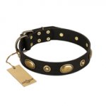 "Eye-Catcher" FDT Artisan Black Leather Swiss Mountain Dog Collar for Walking in Style