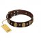 "Natural Grace" FDT Artisan Handmade Decorated Brown Leather Swiss Mountain Dog Collar