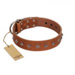 "Broadway" Handmade FDT Artisan Tan Leather Swiss Mountain Dog Collar with Dotted Pyramids