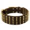 Wide Spiked Leather Swiss Mountain Dog Collar