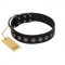 "Silent Star" Handmade FDT Artisan Designer Black Leather Swiss Mountain Dog Collar with Engraved Plates