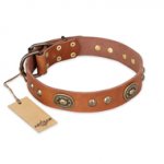 "Stunning Dress" FDT Artisan Tan Leather Swiss Mountain Dog Collar with Old Bronze Look Plates and Studs