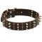 Swiss Mountain Dog Spikes and Studs Rows Leather Dog Collar