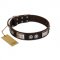"Baller Status" FDT Artisan Brown Leather Swiss Mountain Dog Collar Adorned with a Set of Chrome Plated Studs and Plates