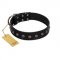 "Flower Rhapsody" FDT Artisan Premium Quaulity Black Leather Swiss Mountain Dog Collar