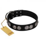 "Magic Amulete" Handcrafted FDT Artisan Black Leather Swiss Mountain Dog Collar with Chrome-Plated Shields