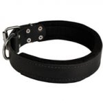 Swiss Mountain Dog Durable Padded Leather Collar 40 mm
