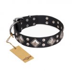 "Smart Geometry" FDT Artisan Studded Leather Swiss Mountain Dog Collar