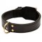 Training 2 Ply Leather Swiss Mountain Dog Collar
