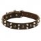 Leather Swiss Mountain Dog Collar With Studs and Pyramids