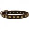 Leather Swiss Mountain Dog Collar with Brass Dotted Circles for Fashion Walking