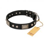 "Pirates Gold" FDT Artisan Black Leather Swiss Mountain Dog Collar with Old Silver Look Plates and Skulls