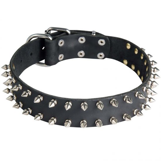 spiked collar for dog training