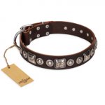 "Pierian spring" FDT Artisan Brown Leather Swiss Mountain Dog Collar with Silvery Decorations