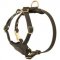 Spruce Leather Swiss Mountain Dog Harness With Small Chest Plate