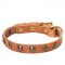 Leather Swiss Mountain Dog Collar with Brass Half-Ball Studs