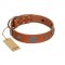 "Foxy Nature" FDT Artisan Tan Leather Swiss Mountain Dog Collar with Chrome Plated Brooches