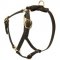 Y-Shaped Leather Swiss Mountain Dog Harness for Tracking and Training