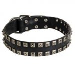 New Leather Swiss Mountain Dog Collar - Fashion Exclusive Design - "Caterpillar"