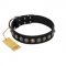 "Black Eagle" Handcrafted FDT Artisan Black Leather Swiss Mountain Dog Collar with Silver-Like Adornments