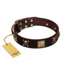 "Crazy Pirate" FDT Artisan Brown Leather Swiss Mountain Dog Collar with Old Bronze-Plated Skulls and Plates