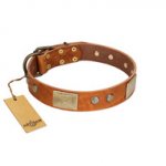 "Ancient Treasures" FDT Artisan Tan Leather Swiss Mountain Dog Collar with Antiqued Plates and Studs