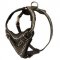 Painted Leather Swiss Mountain Dog Harness for Walking and Training