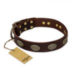 "Chocolate kiss" FDT Artisan Leather Swiss Mountain Dog Collar with Old Bronze Look Oval Plates
