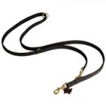 Nylon Swiss Mountain Dog Leash for Patrolling, Walking and Training
