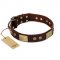 "Shining Armour" FDT Artisan Brown Leather Swiss Mountain Dog Collar with Decorations