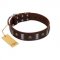 "War Chief" FDT Artisan Genuine Brown Leather Swiss Mountain Dog Collar with Skulls and Plates
