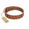 "Enchanted Skulls" FDT Artisan Tan Leather Swiss Mountain Dog Collar with Chrome Plated Skulls