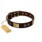 "Bow-Wow Effect" FDT Artisan Brown Leather Swiss Mountain Dog Collar with Plates and Ornate Studs