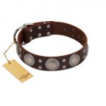 "Imperial Legate" FDT Artisan Brown Leather Swiss Mountain Dog Collar with Big Round Plates