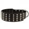 Extra Wide 4 Rows Studded Leather Swiss Mountain Dog Collar