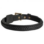 Swiss Mountain Dog Braided Leather Collar 1 Inch