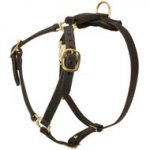 Y-Shaped Leather Swiss Mountain Dog Harness for Tracking and Training