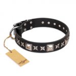 "Space Walk" FDT Artisan Black Leather Swiss Mountain Dog Collar with Adornments