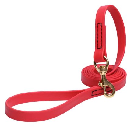 Red Waterproof Swiss Mountain Dog Leash Made of Biothane