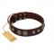 "Choco Brownie" FDT Artisan Brown Leather Swiss Mountain Dog Collar Adorned with Silver-Like Conchos