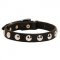 Beautiful Leather Swiss Mountain Dog Collar Decorated with Half-Ball Studs
