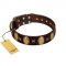 "Crystal Mirror" FDT Artisan Handmade Brown Leather Swiss Mountain Dog Collar - 1 1/2 inch (40 mm) Wide
