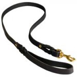 Walking Training Leather Swiss Mountain Dog Leash Braided