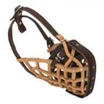 Basket-Like Swiss Mountain Dog Muzzle Leather