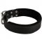 Swiss Mountain Dog Durable Padded Leather Collar 40 mm
